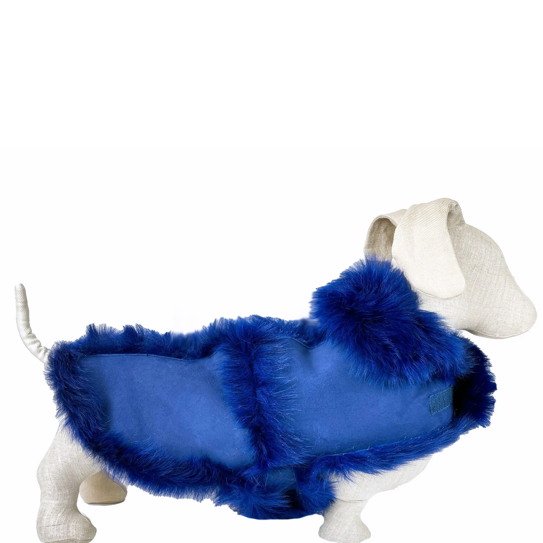 Cobalt Blue Long Haired Shearling Dog Coat