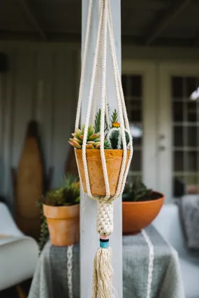 Dignity Plant Hanger