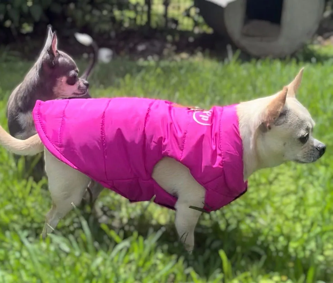 Dog Coats, jacket, vest, puffer, all day wear for small dogs