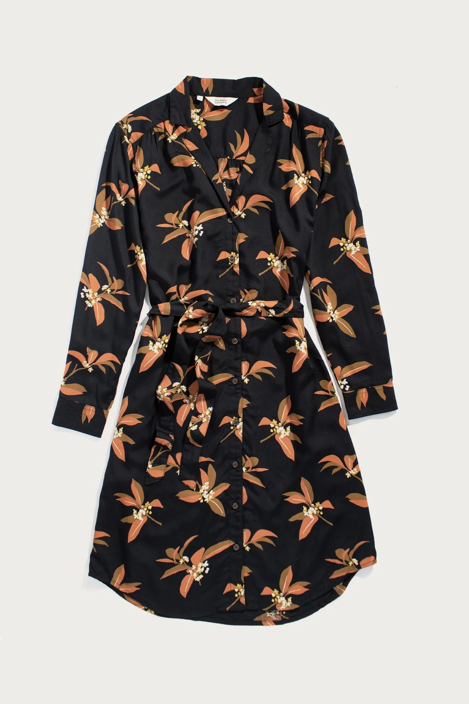 Emery Shirt Dress / Burkwood Flora